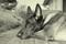 Old Photo Style - bild 2